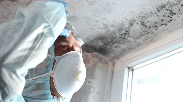 Best Commercial Mold Inspection  in Bonner Springs, KS